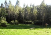 area picnic nel parco_prato_ambiente_natura